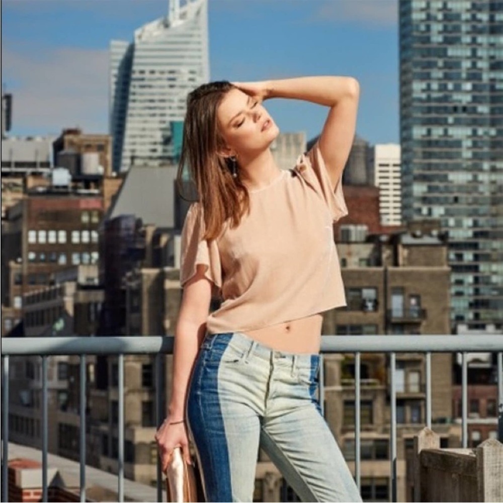 LoveShackFancy Velvet Silk Blend Blush Pink Flutter Sleeve Cropped Top Medium